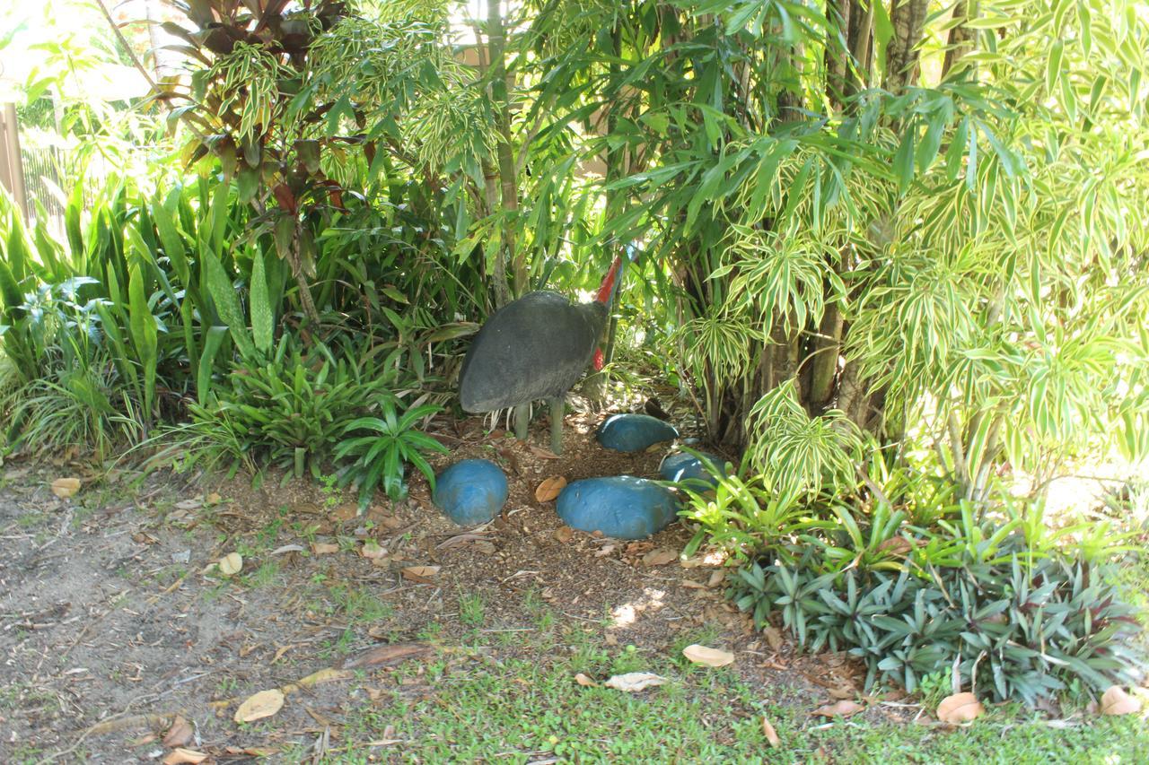 Dunk Island View Caravan Park Wongaling Beach Exterior photo