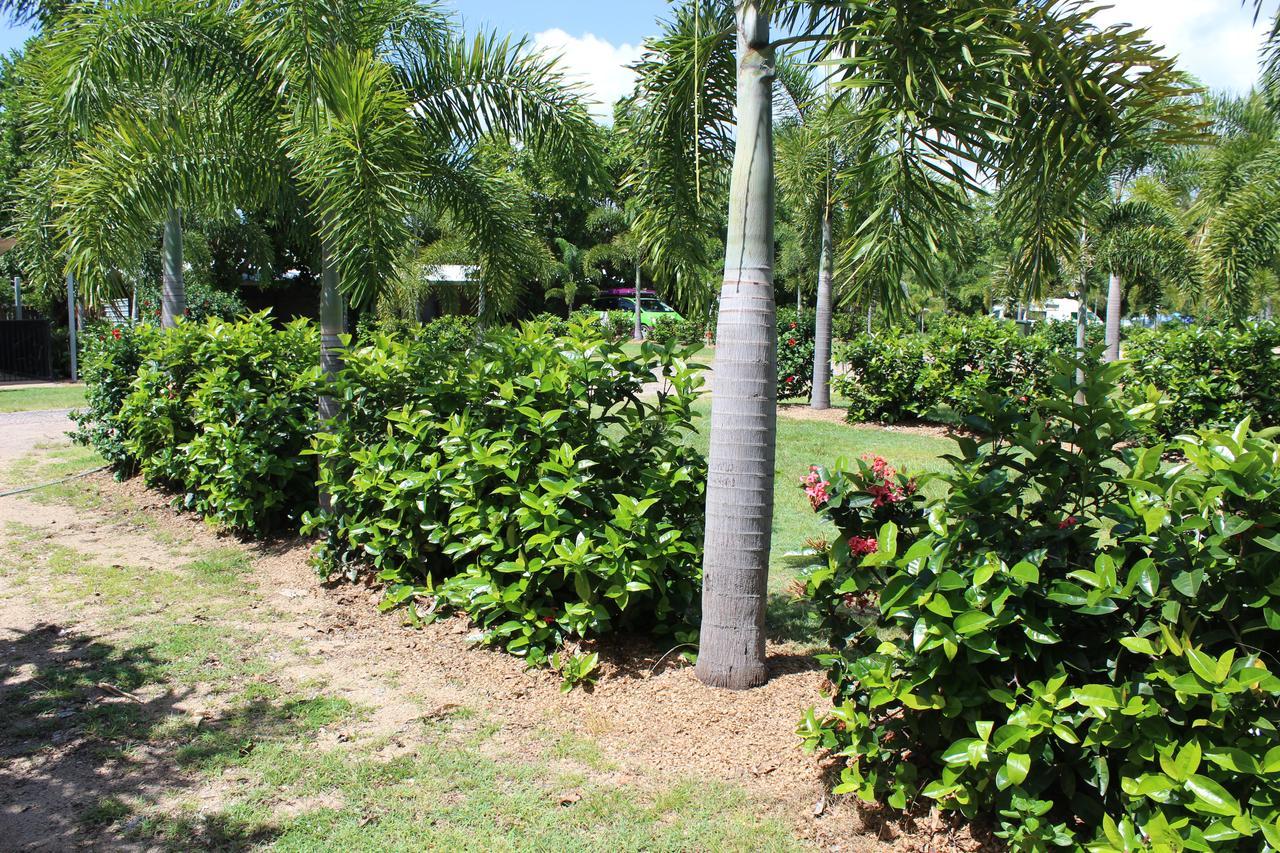 Dunk Island View Caravan Park Wongaling Beach Exterior photo